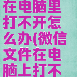 微信文件在电脑里打不开怎么办(微信文件在电脑上打不开怎么办?)