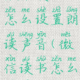 微信读书怎么设置朗读声音(微信读书怎么设置听书)