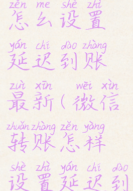 微信转账怎么设置延迟到账最新(微信转账怎样设置延迟到账时间)