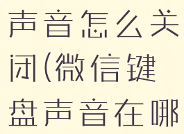 微信里键盘声音怎么关闭(微信键盘声音在哪里关闭)