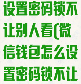 微信钱包怎么设置密码锁不让别人看(微信钱包怎么设置密码锁不让别人看钱)