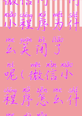 微信问一问小程序为什么关闭了呢(微信小程序怎么什么都有)