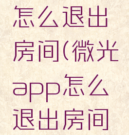 微光app怎么退出房间(微光app怎么退出房间登录)