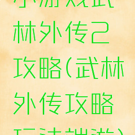 小游戏武林外传2攻略(武林外传攻略玩法端游)
