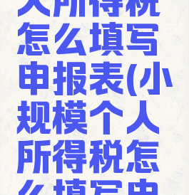 小规模个人所得税怎么填写申报表(小规模个人所得税怎么填写申报表模板)