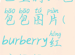 巴宝莉红色包包图片(burberry红色包包)