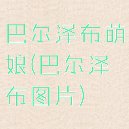 巴尔泽布萌娘(巴尔泽布图片)
