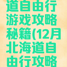 广西北海道自由行游戏攻略秘籍(12月北海道自由行攻略百度经验)