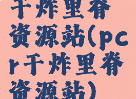 干炸里脊资源站(pcr干炸里脊资源站)
