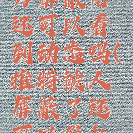 推特被对方屏蔽后还可以看到动态吗(推特被人屏蔽了还可以发私信吗)
