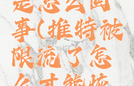 推特限流是怎么回事(推特被限流了怎么才能恢复)