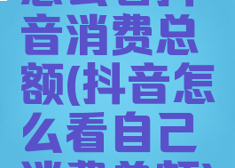 怎么看抖音消费总额(抖音怎么看自己消费总额)