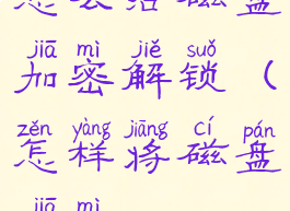 怎么给磁盘加密解锁(怎样将磁盘加密)