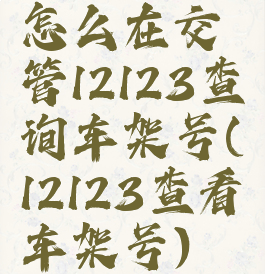 怎么在交管12123查询车架号(12123查看车架号)