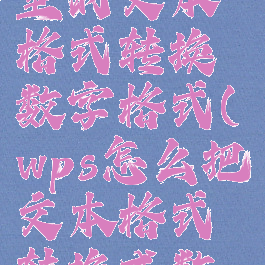 怎么把wps里的文本格式转换数字格式(wps怎么把文本格式转换成数值格式)