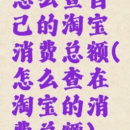 怎么查自己的淘宝消费总额(怎么查在淘宝的消费总额)