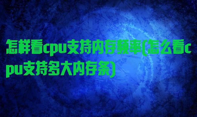 怎样看cpu支持内存频率(怎么看cpu支持多大内存条)