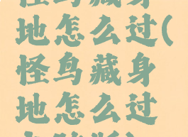 怪鸟藏身地怎么过(怪鸟藏身地怎么过电脑版)