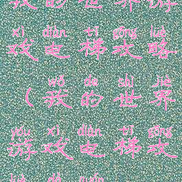 我的世界游戏电梯攻略(我的世界游戏电梯攻略大全)