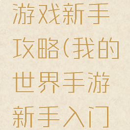 我的世界游戏新手攻略(我的世界手游新手入门攻略)