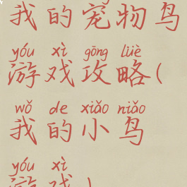 我的宠物鸟游戏攻略(我的小鸟游戏)