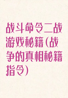 战斗命令二战游戏秘籍(战争的真相秘籍指令)