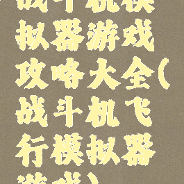 战斗机模拟器游戏攻略大全(战斗机飞行模拟器游戏)