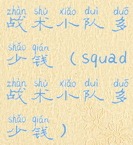 战术小队多少钱(squad战术小队多少钱)