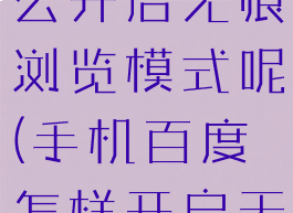 手机百度怎么开启无痕浏览模式呢(手机百度怎样开启无痕浏览)