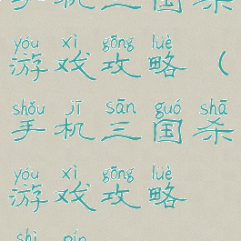 手机三国杀游戏攻略(手机三国杀游戏攻略视频)
