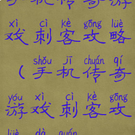 手机传奇游戏刺客攻略(手机传奇游戏刺客攻略大全)