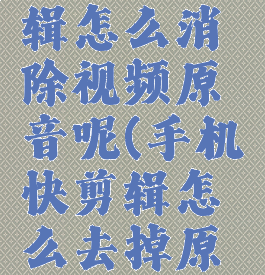 手机快剪辑怎么消除视频原音呢(手机快剪辑怎么去掉原声)