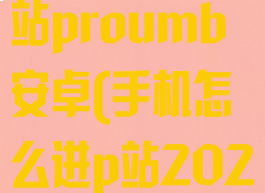 手机怎么进p站proumb安卓(手机怎么进p站2021)