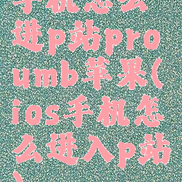 手机怎么进p站proumb苹果(ios手机怎么进入p站)