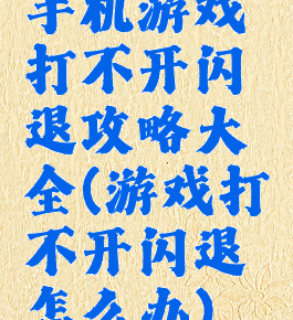 手机游戏打不开闪退攻略大全(游戏打不开闪退怎么办)