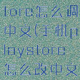 手机playstore怎么调中文(手机playstore怎么改中文)