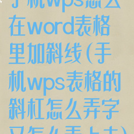 手机wps怎么在word表格里加斜线(手机wps表格的斜杠怎么弄字又怎么弄上去)