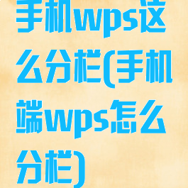 手机wps这么分栏(手机端wps怎么分栏)