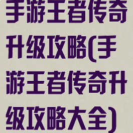 手游王者传奇升级攻略(手游王者传奇升级攻略大全)