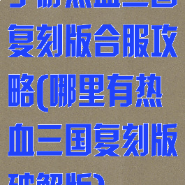 手游热血三国复刻版合服攻略(哪里有热血三国复刻版破解版)