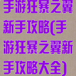 手游狂暴之翼新手攻略(手游狂暴之翼新手攻略大全)