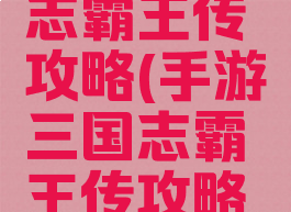 手游三国志霸王传攻略(手游三国志霸王传攻略视频)