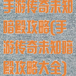 手游传奇未知暗殿攻略(手游传奇未知暗殿攻略大全)
