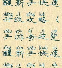 手游奇迹觉醒新手快速升级攻略(手游奇迹觉醒新手快速升级攻略大全)