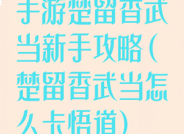 手游楚留香武当新手攻略(楚留香武当怎么卡悟道)