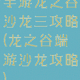 手游龙之谷沙龙三攻略(龙之谷端游沙龙攻略)