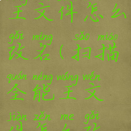 扫描全能王文件怎么改名(扫描全能王文件怎么改名字)