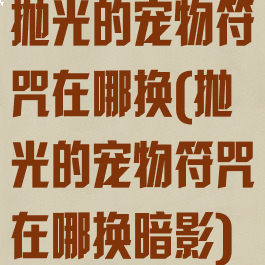 抛光的宠物符咒在哪换(抛光的宠物符咒在哪换暗影)
