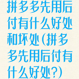 拼多多先用后付有什么好处和坏处(拼多多先用后付有什么好处?)