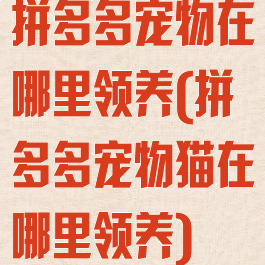 拼多多宠物在哪里领养(拼多多宠物猫在哪里领养)